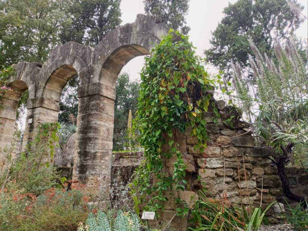 старинный сад руины